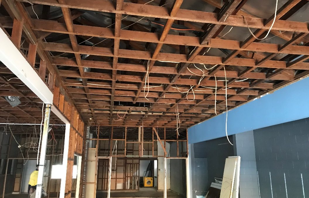 Vintage Cellars (Cavenagh Street) – B Class Removal and Demolition Works